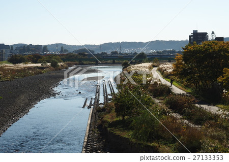 淺川 27133353