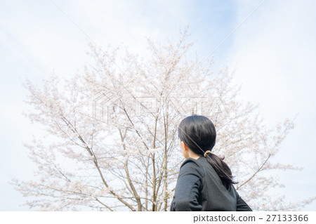 Business woman staring at cherry blossoms 27133366