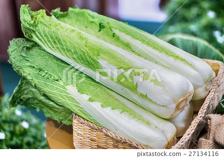 Group of fresh organically grown fresh romaine 27134116