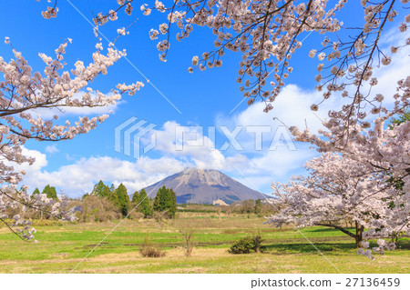 Sakura in Oyama and Oyama Pension Village Sakura in Oyama and Oyama Pension Village 27136459