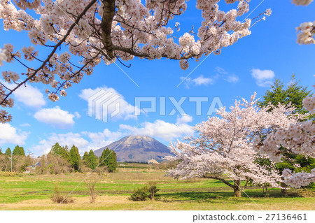 Sakura in Oyama and Oyama Pension Village Sakura in Oyama and Oyama Pension Village 27136461