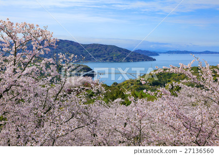 打開山地公園 27136560