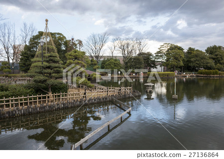 初冬的荒川自然公園 初冬的荒川自然公園 27136864
