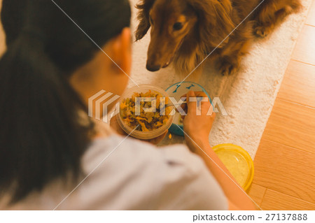 pet, pets, bait 27137888