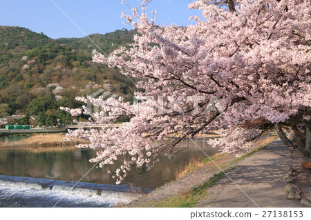 Arashiyama Togetsu Bridge and cherry blossoms Arashiyama Togetsu Bridge and cherry blossoms 27138153