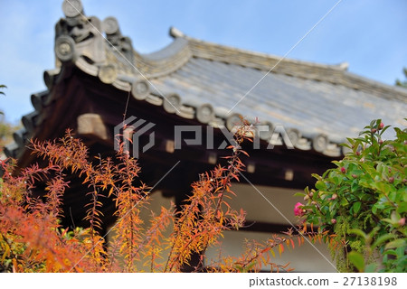 Saidaiji Tile roof and taste of autumn leaves Saidaiji Tile roof and taste of autumn leaves 27138198