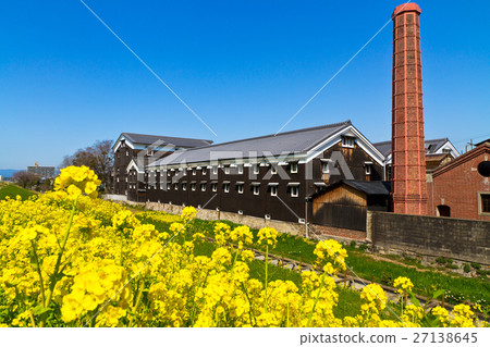 Fushimi's sake brewery and rape blossoms 27138645