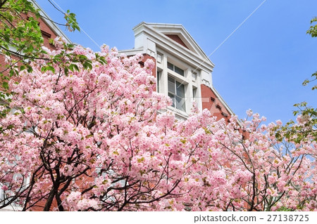 大阪造幣局櫻花走過 27138725