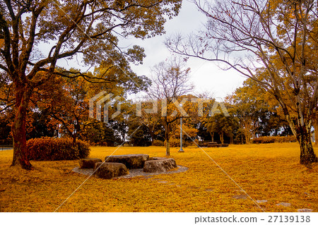 tree in the garden tree in the garden 27139138