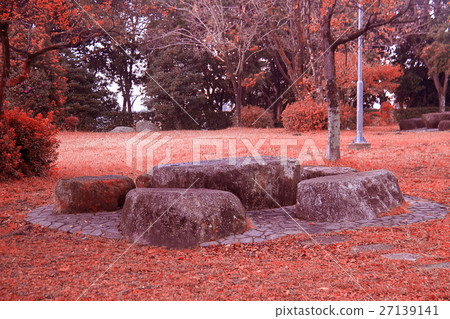 garden with tree and leaves autumn 27139141