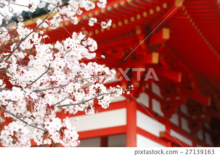 平安神社和櫻花 27139163