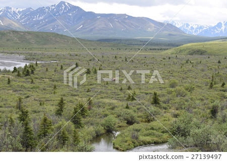 苔原和馴鹿 27139497