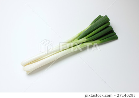 蔥 蔥 27140295