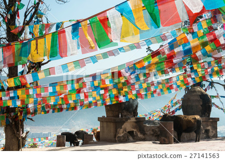 雲南香格里拉百塔的祈禱旗 27141563