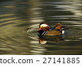 鴛鴦 27141885
