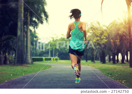 young sporty asian woman running at tropical park young sporty asian woman running at tropical park 27142750