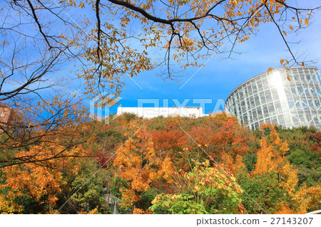 橫跨登上秋葉 27143207