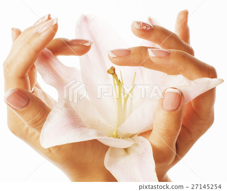 beauty delicate hands with manicure holding flower beauty delicate hands with manicure holding flower 27145254