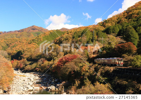 Autumnal leaves Watase Valley Railway 27145365