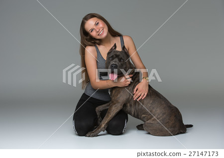 Beautiful girl with grey stafford terrier 27147173