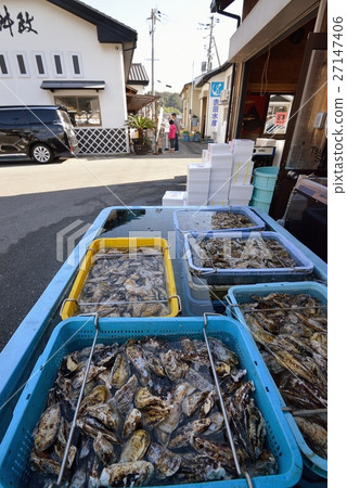 Purifying washing oysters 27147406