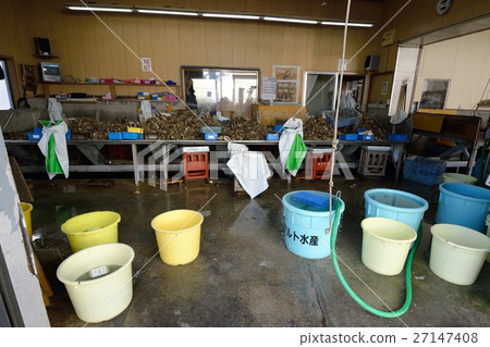 Lunch break oyster processing plant Lunch break oyster processing plant 27147408