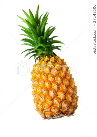 Wave, phoenix, pineapple, pineapple 27148506