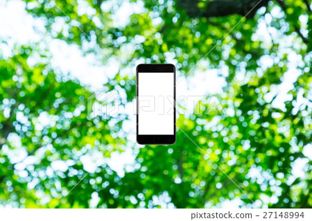 Background materials for smartphone and fresh green image synthesis Green background Plants Spring early summer Snow leaves day green and copy spaces 27148994