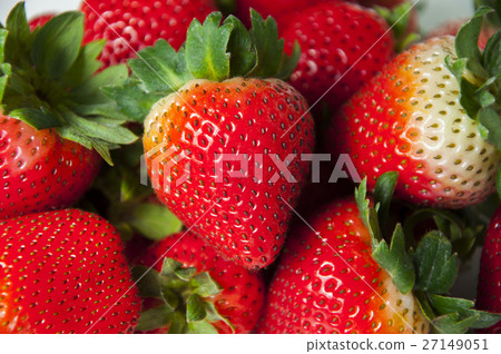 草莓，草莓，草莓，草莓，草莓 27149051