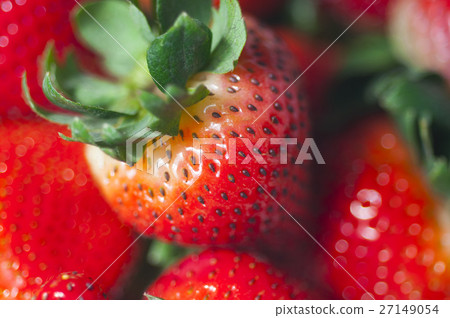 草莓，草莓，草莓，草莓，草莓 27149054