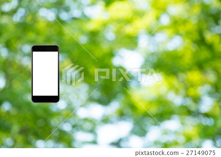 Hamikomi Sumaho Fresh green image background material background green background plant spring early summer sunbeams leaves green and copy space Hamikomi Sumaho Fresh green image background material background green background plant spring early summer sunbeams leaves green and copy space 27149075