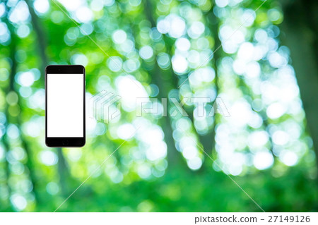 Hamikomi Sumaho Fresh green image background material background green background plant spring early summer sunbeams leaves green and copy space 27149126