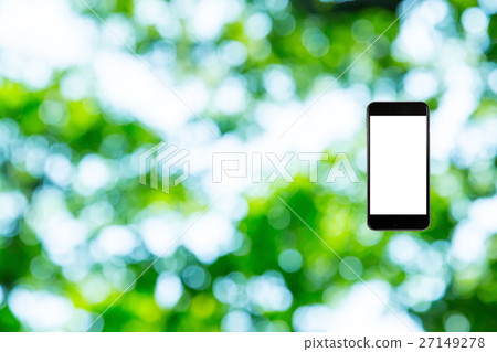 Hamikomi Sumaho Fresh green image background material background green background plant spring early summer sunbeams leaves green and copy space 27149278