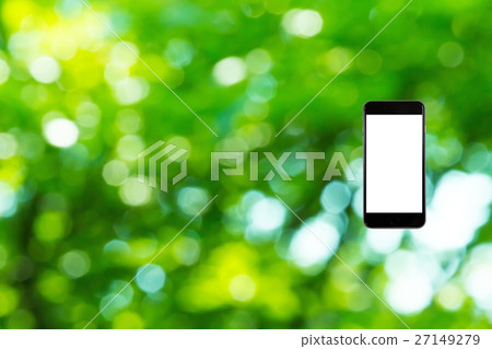 Hamikomi Sumaho Fresh green image background material background green background plant spring early summer sunbeams leaves green and copy space 27149279