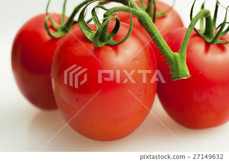 班板，西柿柿子，西紅柿，番茄，番茄 27149632