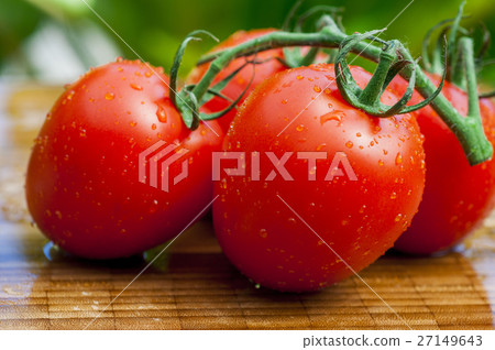 班板，西柿柿子，西紅柿，番茄，番茄 27149643