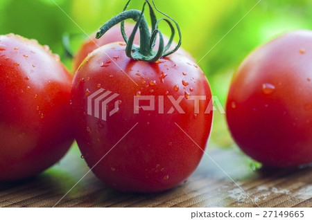 班板,西柿柿子,西紅柿,番茄,番茄 班板,西柿柿子,西紅柿,番茄,番茄 27149665
