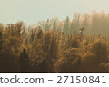 Winter scenery, sunny forest 27150841