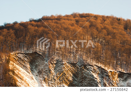 Winter scenery, sunny forest and mountains Winter scenery, sunny forest and mountains 27150842