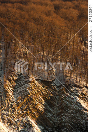 Winter scenery, sunny forest and mountains Winter scenery, sunny forest and mountains 27150844