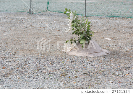 Ground Festival 27151524