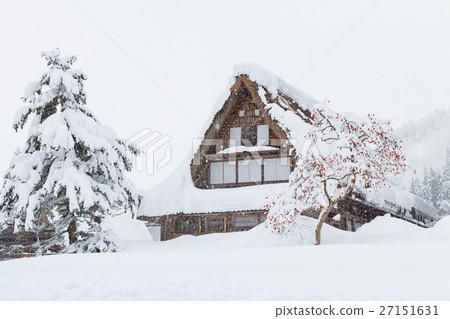 富山_戈雅山背心定居冬季視圖 27151631