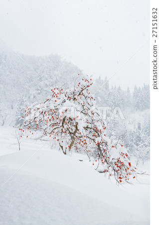 富山_戈雅山背心定居冬季視圖 27151632