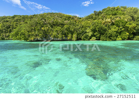 A beautiful coral reef with big drop off A beautiful coral reef with big drop off 27152511
