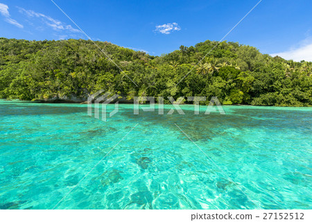 A beautiful coral reef with big drop off 27152512