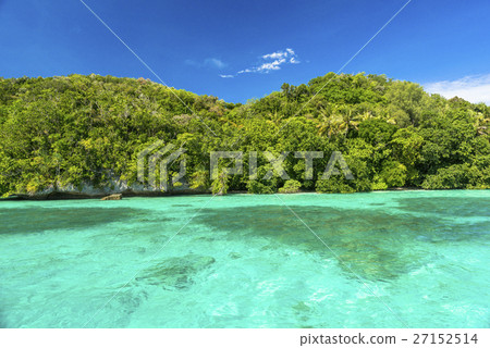 A beautiful coral reef with big drop off A beautiful coral reef with big drop off 27152514
