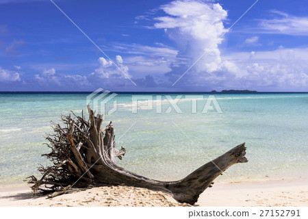 岩島的珊瑚礁的海 27152791