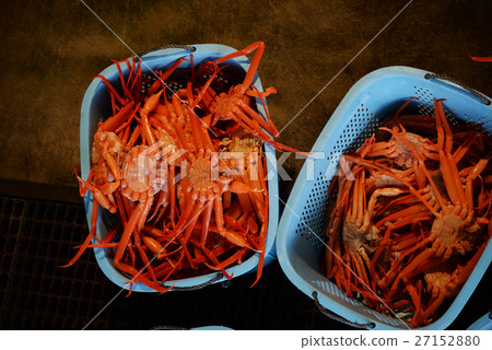 Bennigehai Crab Snow Crab Seri Market Fishery Crab Crab Marine Fishery Lots 27152880