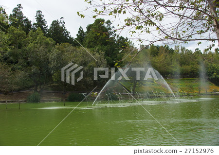 fountain fountain 27152976