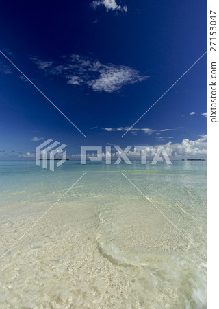岩島的珊瑚礁的海 岩島的珊瑚礁的海 27153047